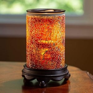 Wax warmer new in box